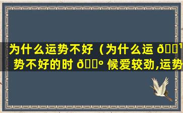 为什么运势不好（为什么运 🌹 势不好的时 🐺 候爱较劲,运势好的时候又不想努力）